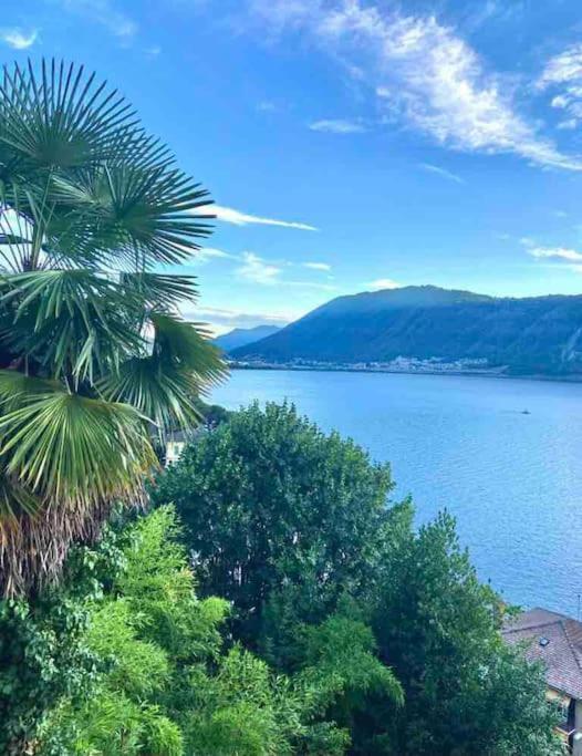 Bella Vista Lugano *