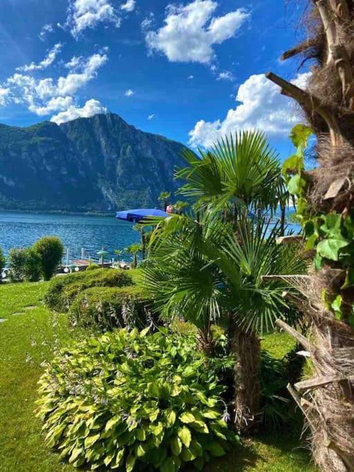 Bella Vista Lugano अपार्टमेंट *