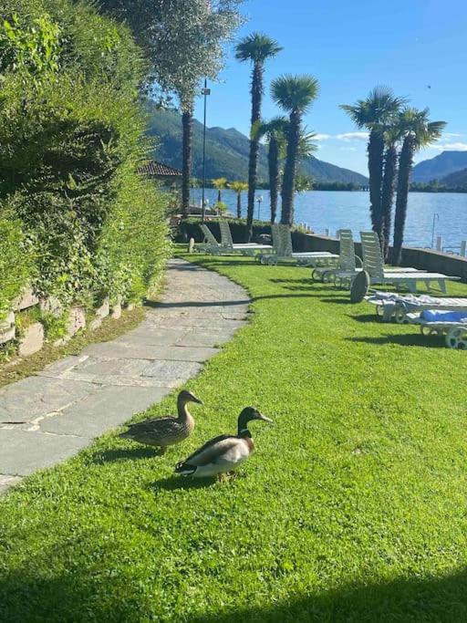 अपार्टमेंट Bella Vista Lugano Bissone